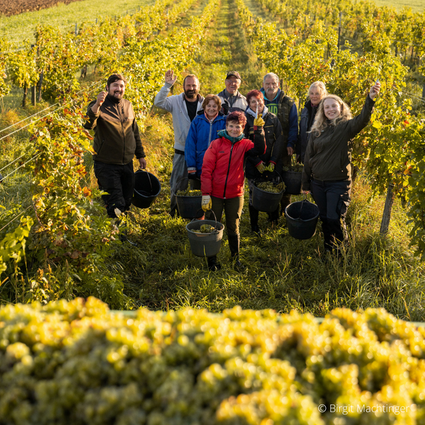 Das Prinzip Gerechtigkeit - Die 4 Prinzipien im Bio-Weinbau