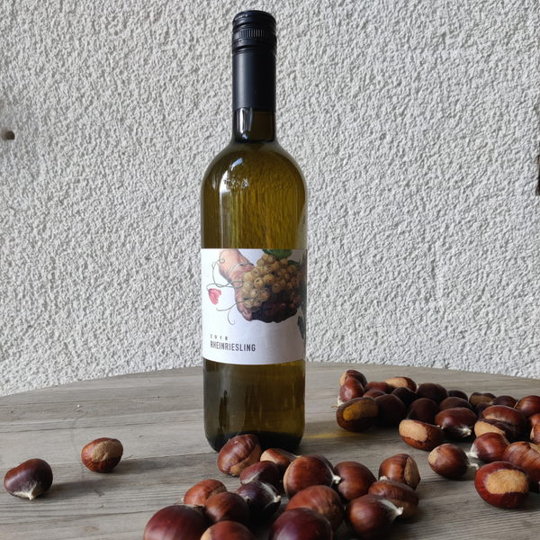 Kastanien unser Herbstliebling